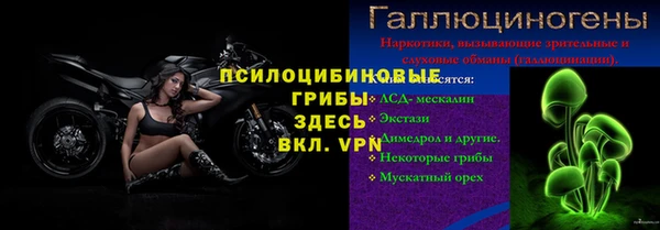 PSILOCYBIN Алзамай