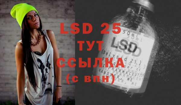 PSILOCYBIN Алзамай