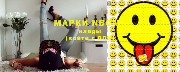 PSILOCYBIN Алзамай